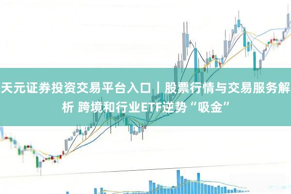 天元证券投资交易平台入口｜股票行情与交易服务解析 跨境和行业ETF逆势“吸金”