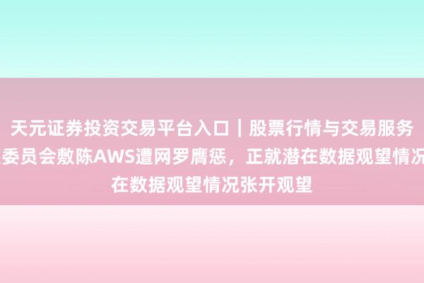 天元证券投资交易平台入口｜股票行情与交易服务解析 欧盟委员会敷陈AWS遭网罗膺惩，正就潜在数据观望情况张开观望
