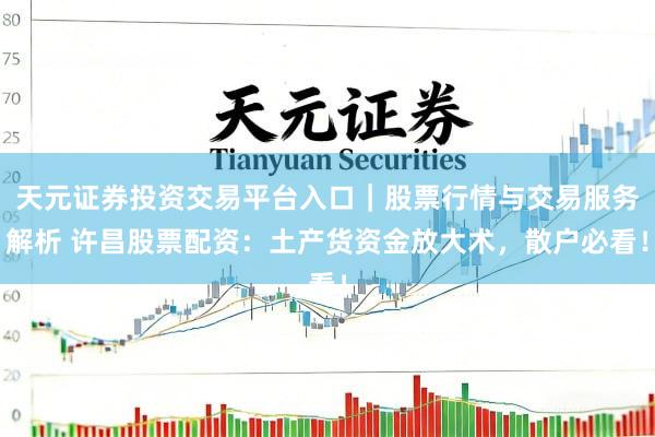 天元证券投资交易平台入口｜股票行情与交易服务解析 许昌股票配资：土产货资金放大术，散户必看！