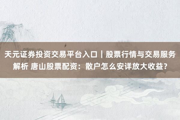天元证券投资交易平台入口｜股票行情与交易服务解析 唐山股票配资：散户怎么安详放大收益？